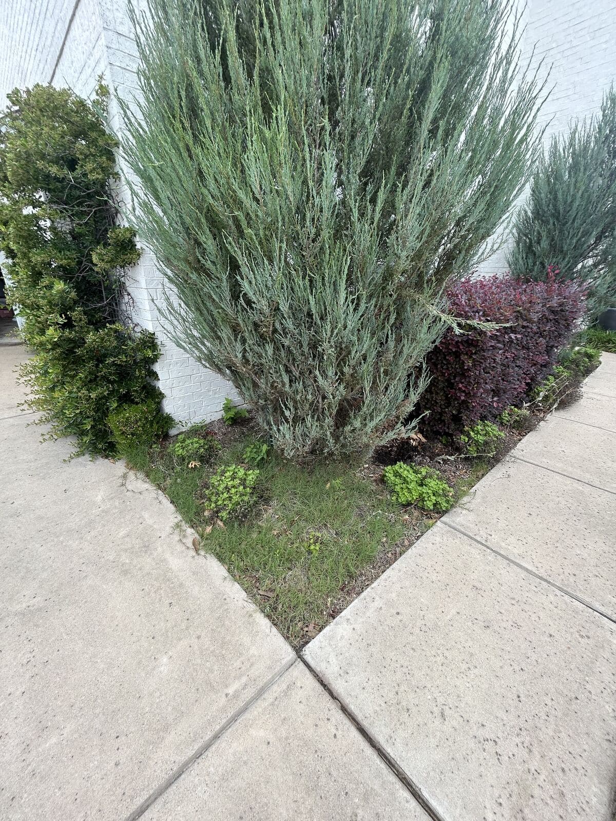 Landscaping & Hardscaping — North Texas