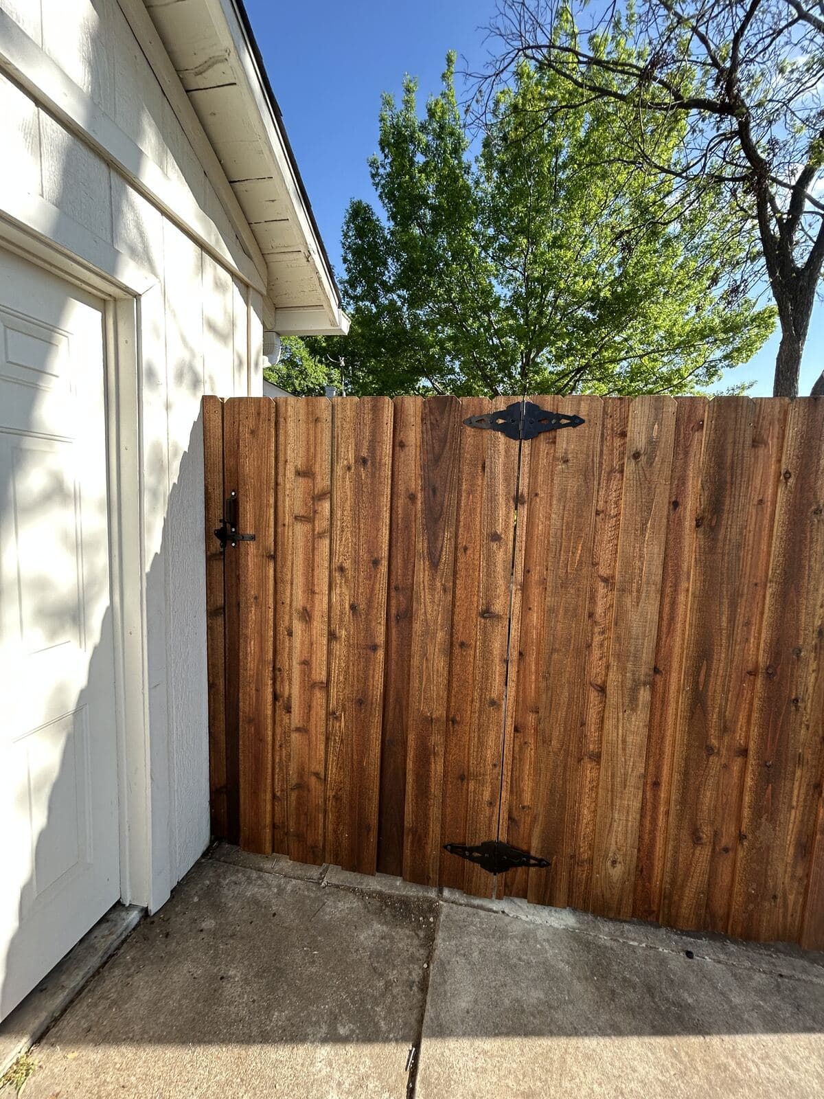 Fence Replacement